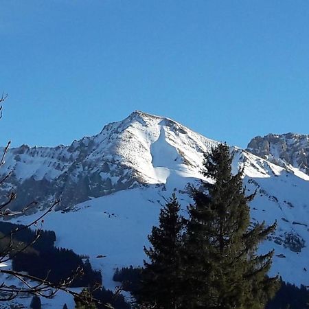 Chalet Allmegrat Adelboden Dış mekan fotoğraf