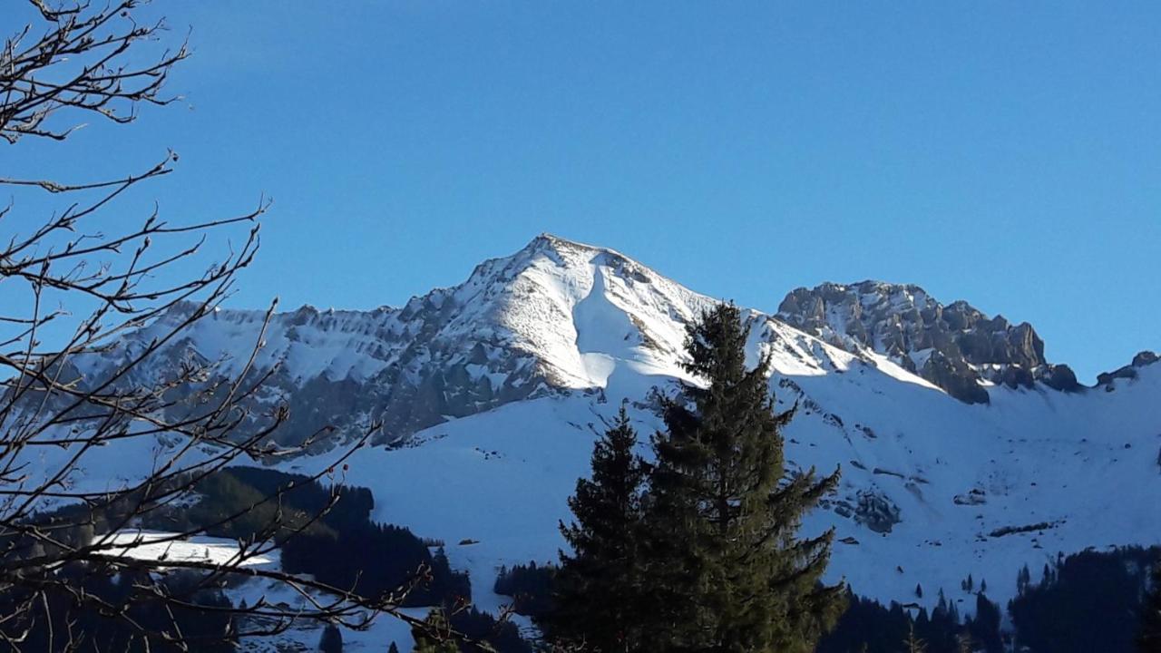 Chalet Allmegrat Adelboden Dış mekan fotoğraf