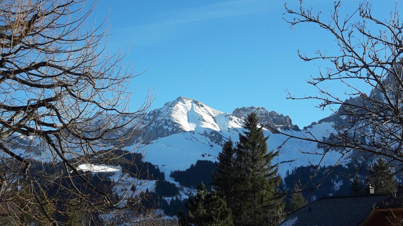 Chalet Allmegrat Adelboden Dış mekan fotoğraf