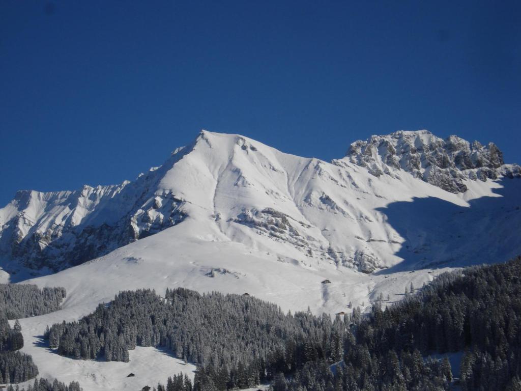 Chalet Allmegrat Adelboden Dış mekan fotoğraf