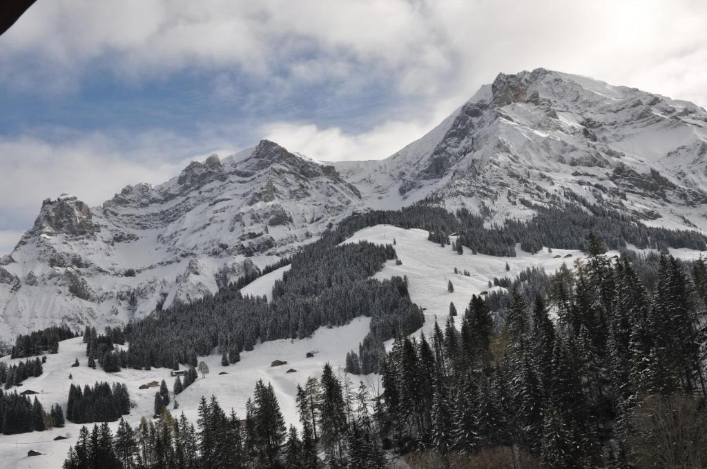 Chalet Allmegrat Adelboden Dış mekan fotoğraf