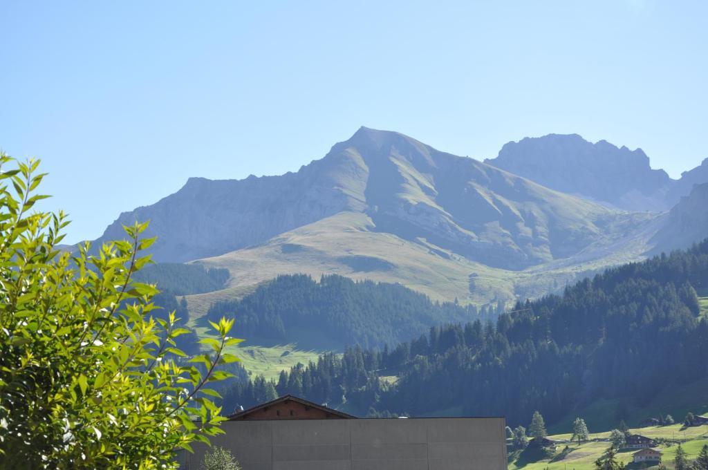 Chalet Allmegrat Adelboden Dış mekan fotoğraf