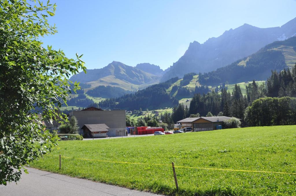 Chalet Allmegrat Adelboden Dış mekan fotoğraf