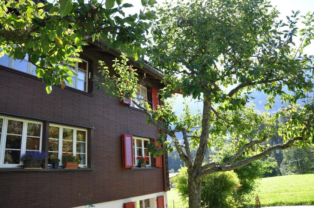 Chalet Allmegrat Adelboden Dış mekan fotoğraf